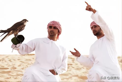 最近几年世界杯战况分析,为什么世界杯都是足球比赛