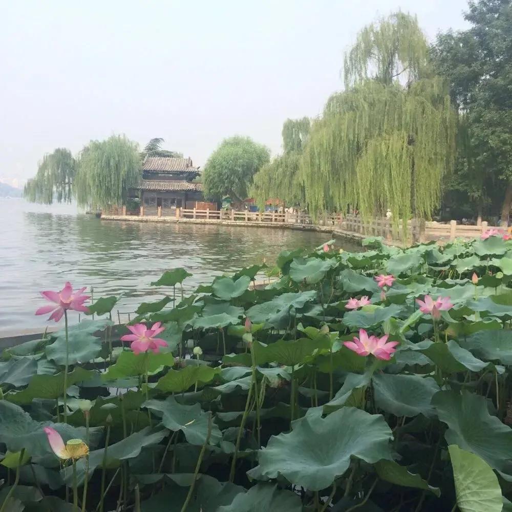 45句极美诗词读后唇齿留香,人间情怀最经典十首诗词大全