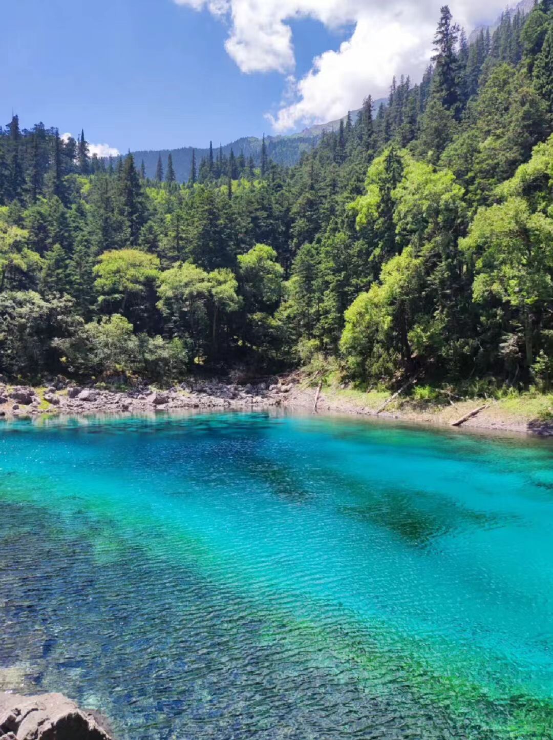 九寨沟童话仙境四日游,九寨沟童话路