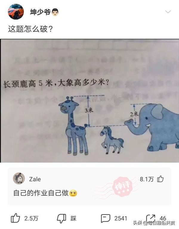 【盐选神回复】爱了爱了