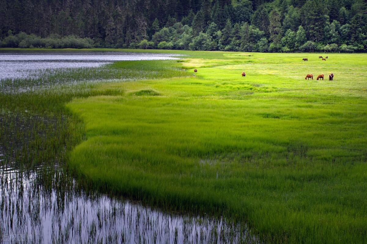 迪庆香格里拉必去景点,迪庆香格里拉哪里好玩
