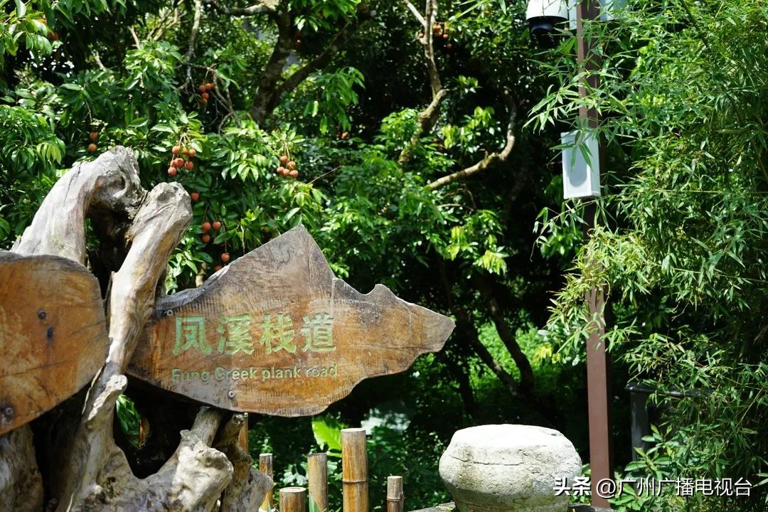 广州室内避暑的地方,广州夏日避暑胜地