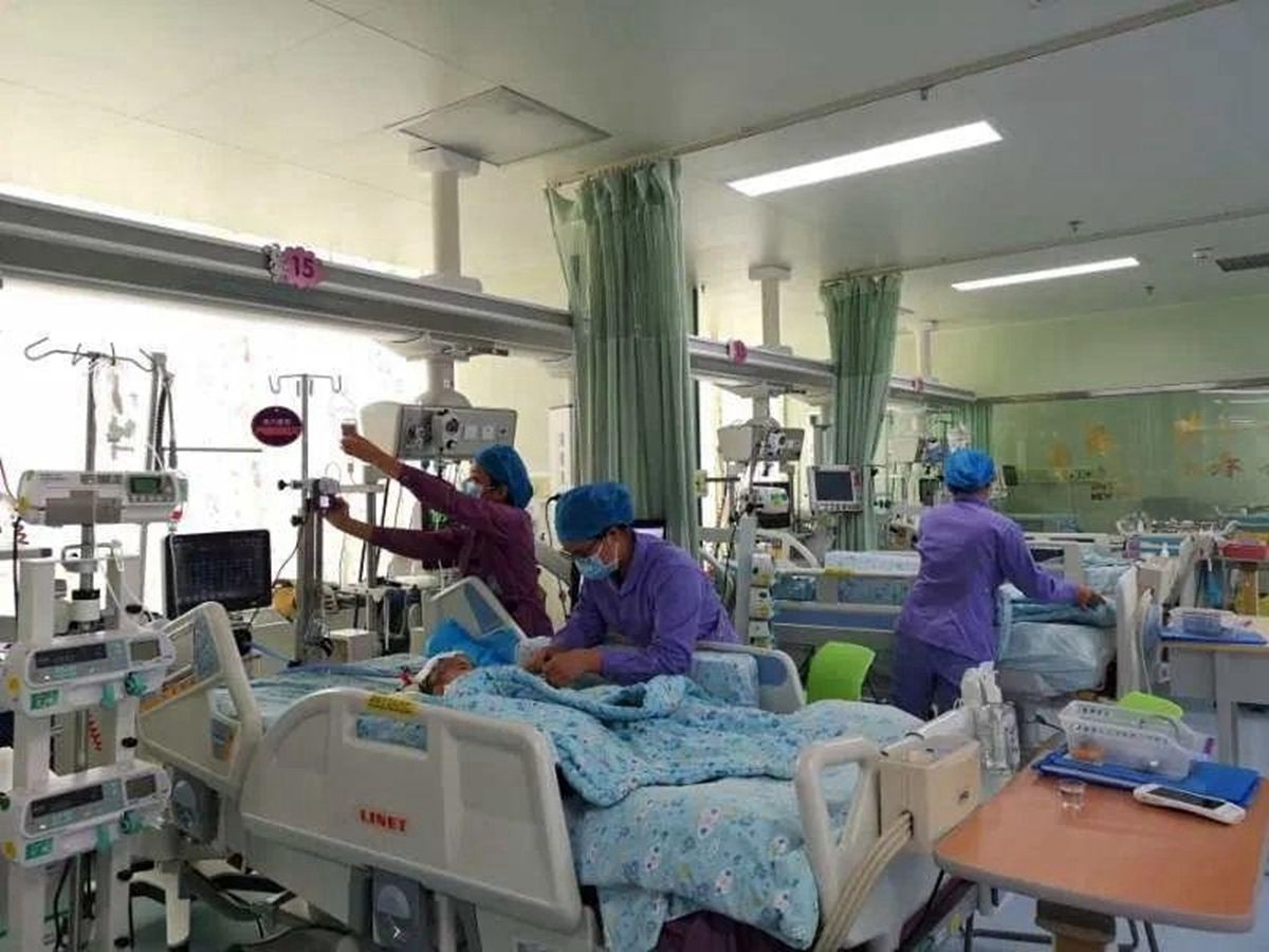 宝宝被蜜蜂蛰多久过危险期,孩子被蜜蜂蛰了怎么跟家长解释