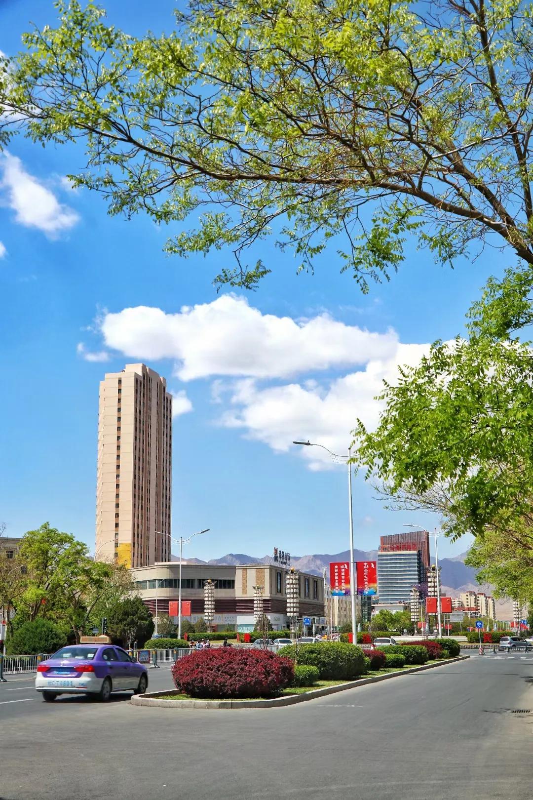 中国医院财务状况分析