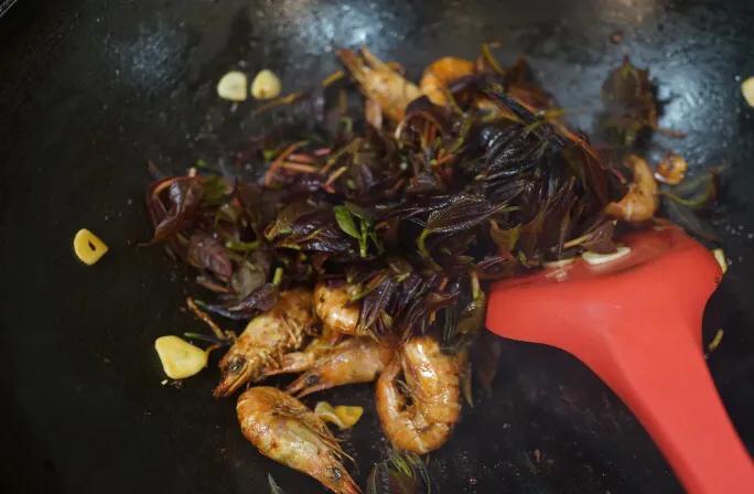 老年人别太节俭多补充这几种食物,建议中老年别太节俭多吃这五种菜