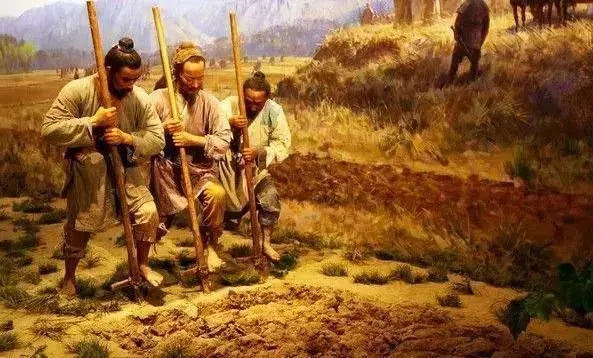 南非的历史变革,南非土地改革政策