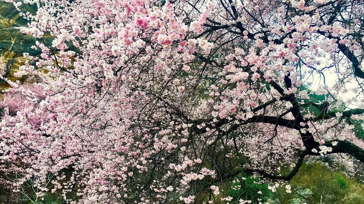 值得一看的全本小说,值得一看的小说免费