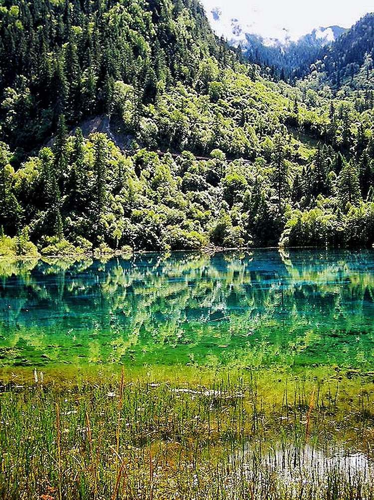 碧水逶迤湖色映九寨，银河泻影山水傲溟渤美篇制作：刘嘉国