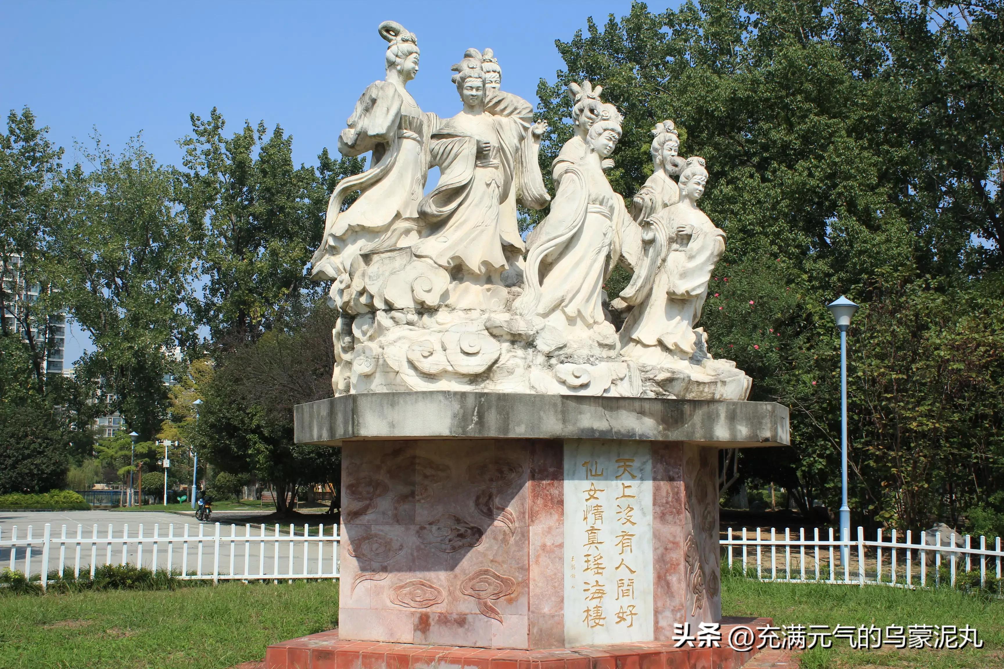 被保健品蛊惑的老人,被保健品骗的老人