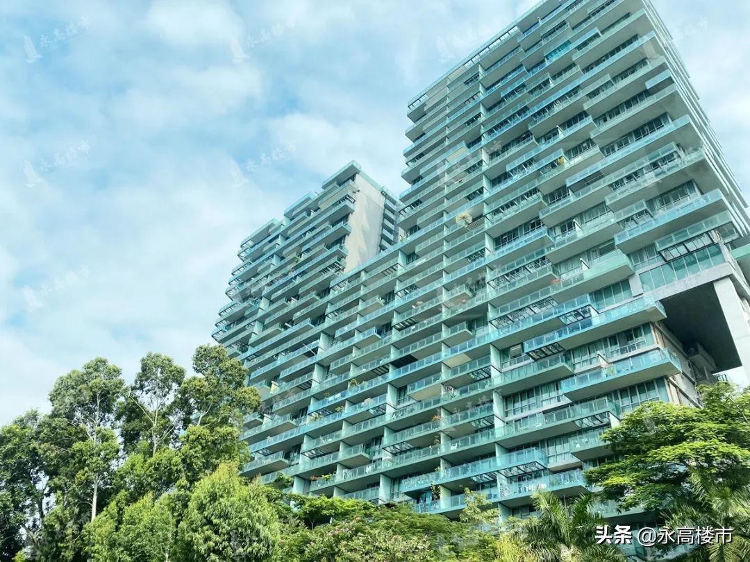 地产专家建议深圳楼市政策松绑,深圳楼市松绑最新消息