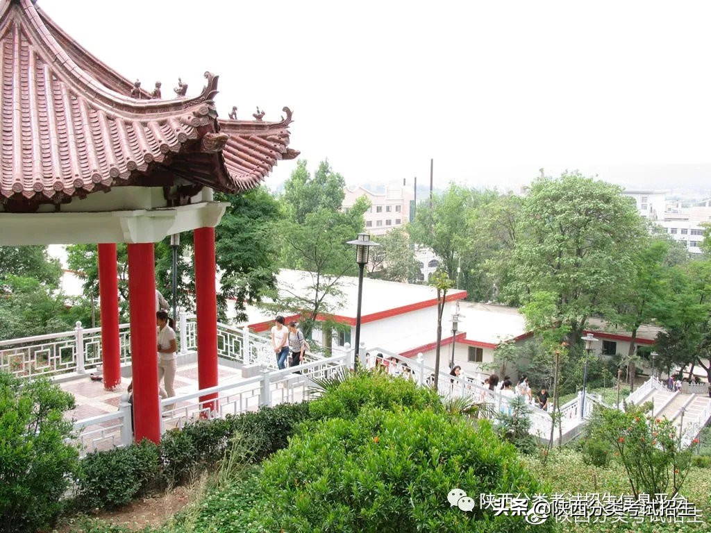 陕西职业技术学院是双高计划吗,双高专科学校陕西工商职业学院