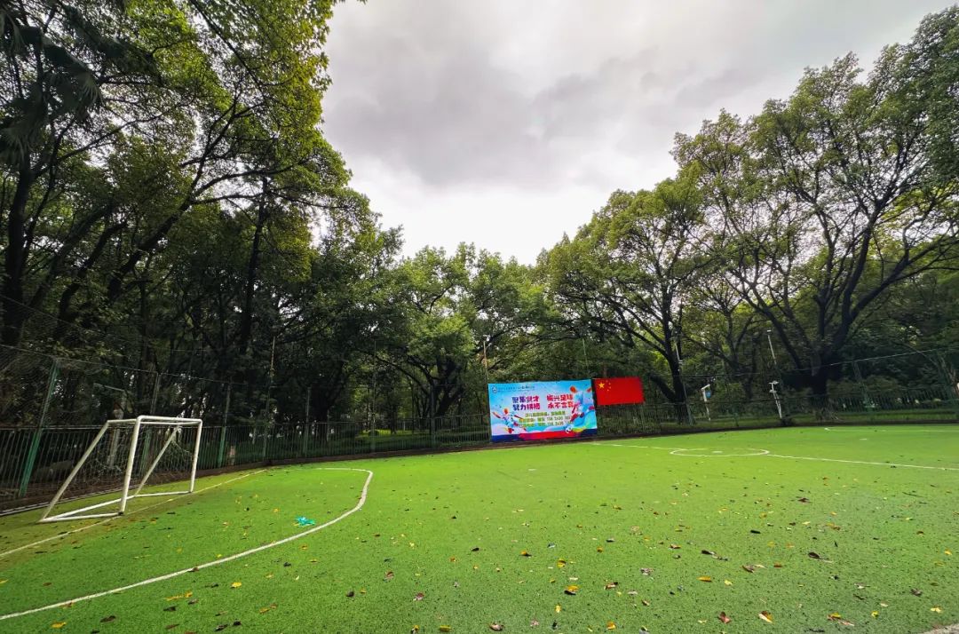 世界杯开始精彩,世界杯开始了没