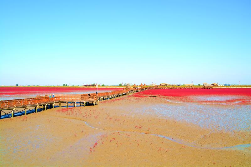 辽宁盘锦在哪个地方,去盘锦旅游哪里好