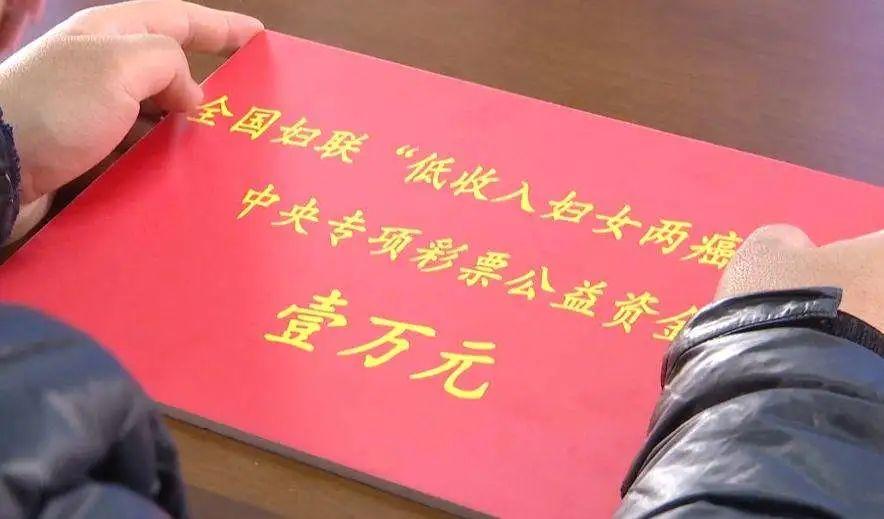 中央专项彩票公益金资助妇女两癌 (中央专项彩票公益救助金)