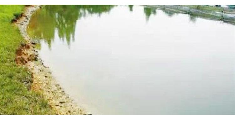 调节水体ph值的方法,ph值养鱼怎么调节