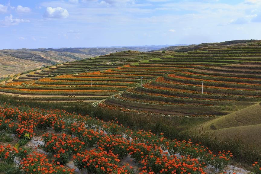 宁夏全域旅游宣传视频,宁夏文化旅游宣传推广活动