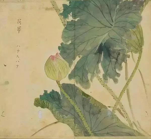 陈风月诗经原文,诗经陈风月出全文注音