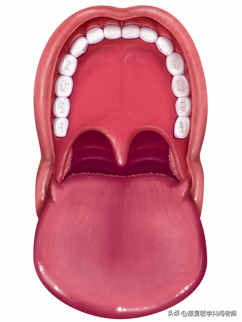 偏瘫言语康复训练,脑中风的语言康复训练方法