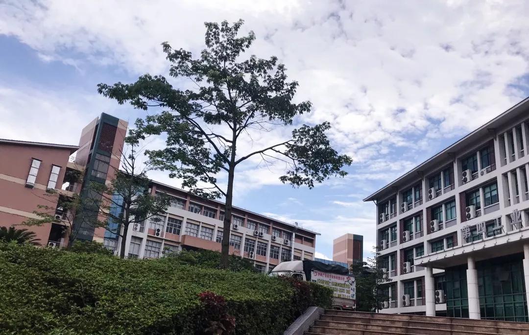 广东双一流专科院校排名,广东大专院校排名及分数线