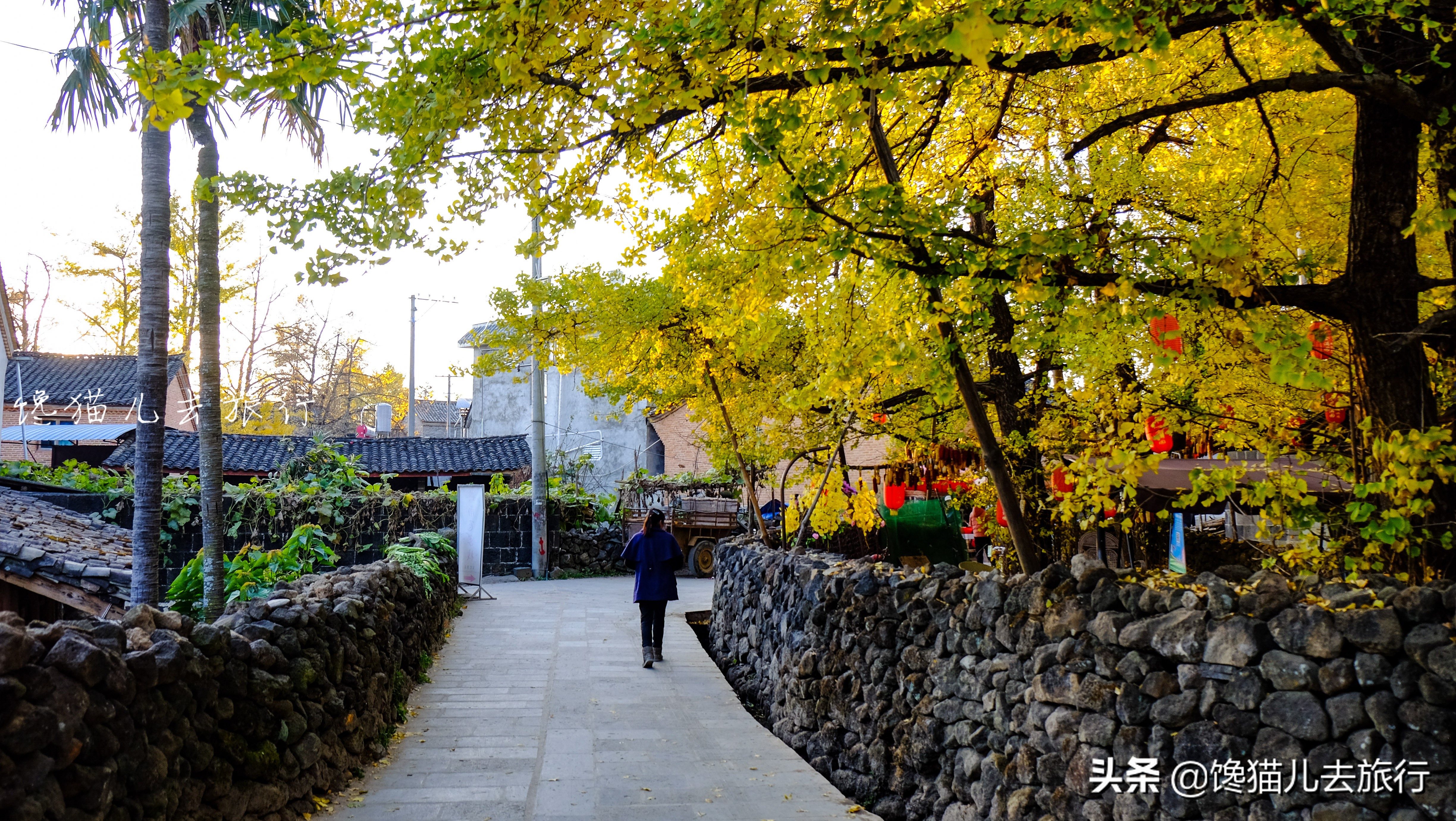 云南旅游攻略去一次就要游个够,云南一天自驾游路线