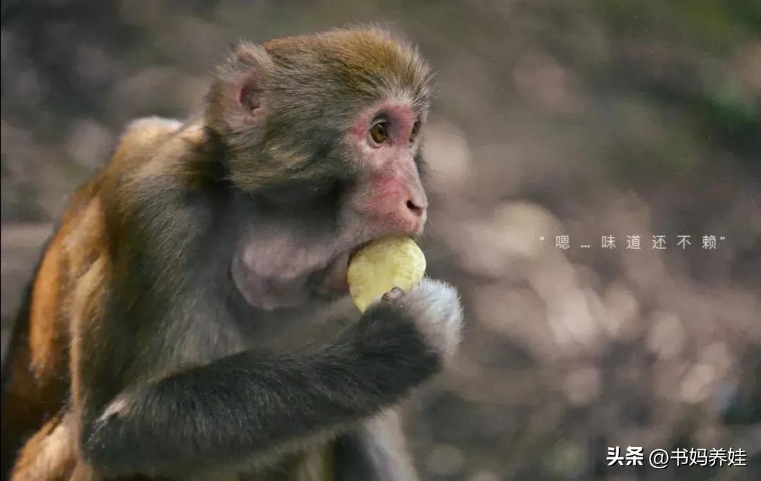 徐州自驾游一日游景点大全,徐州4日游必玩景点攻略