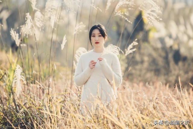 乡村恋爱小说,乡土爱情言情小说