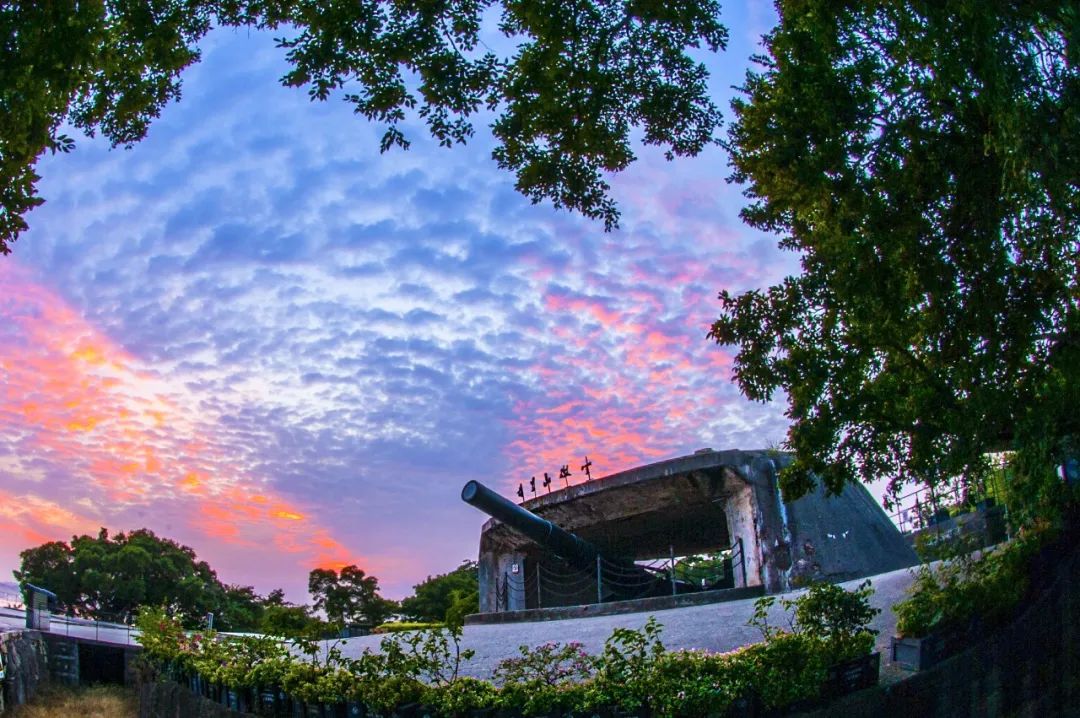 【福建见·闽山闽水物华新】周末“趣”游|乘着夏日的风向海出发，邂逅诗意厦门