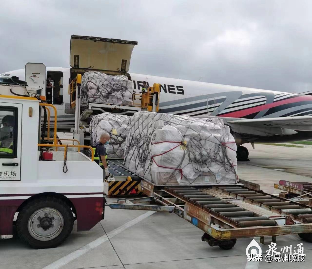 “双十一”期间多渠道布局泉州644家企业销售额超百万元