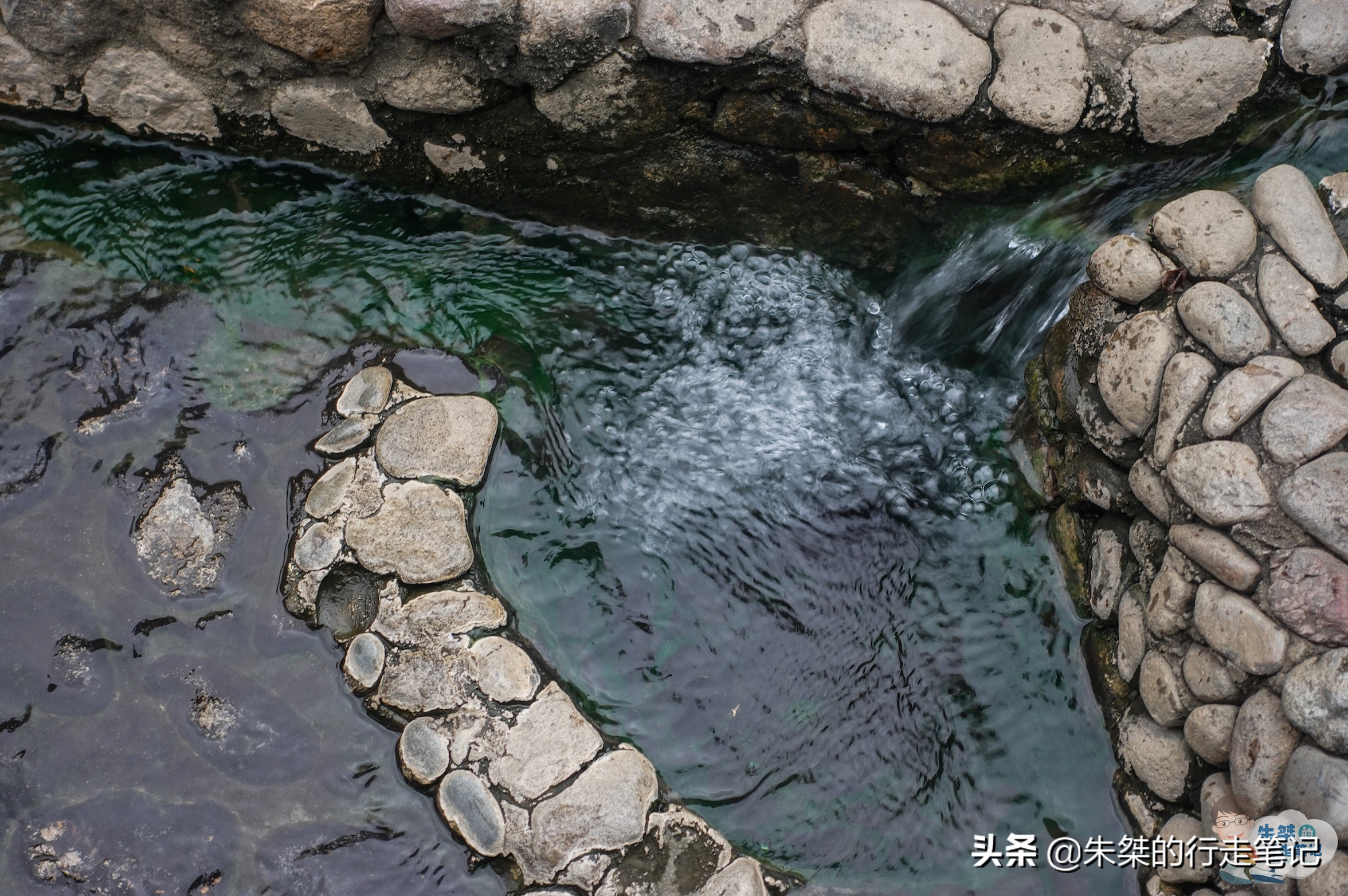 温州旅游区开发投资,温州最大投资项目