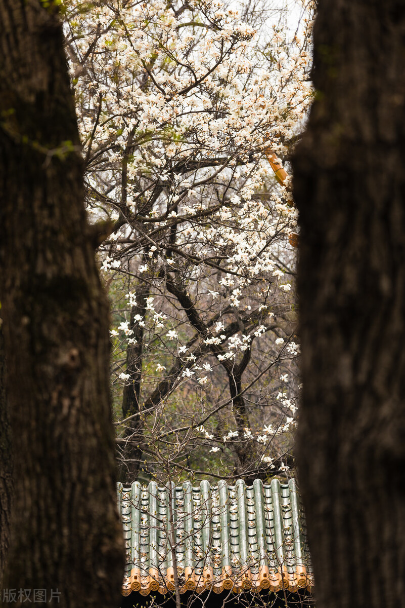 中国唯一“三省省会”，省内万人嫌，省外的台湾却对它情有独钟