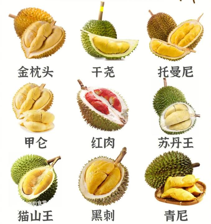 榴莲盲盒是啥意思,购买榴莲盲盒全过程