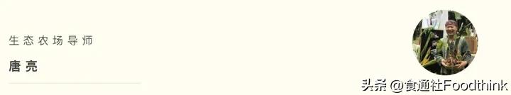 21个年轻人踏上了chatGPT也想象不到的旅程