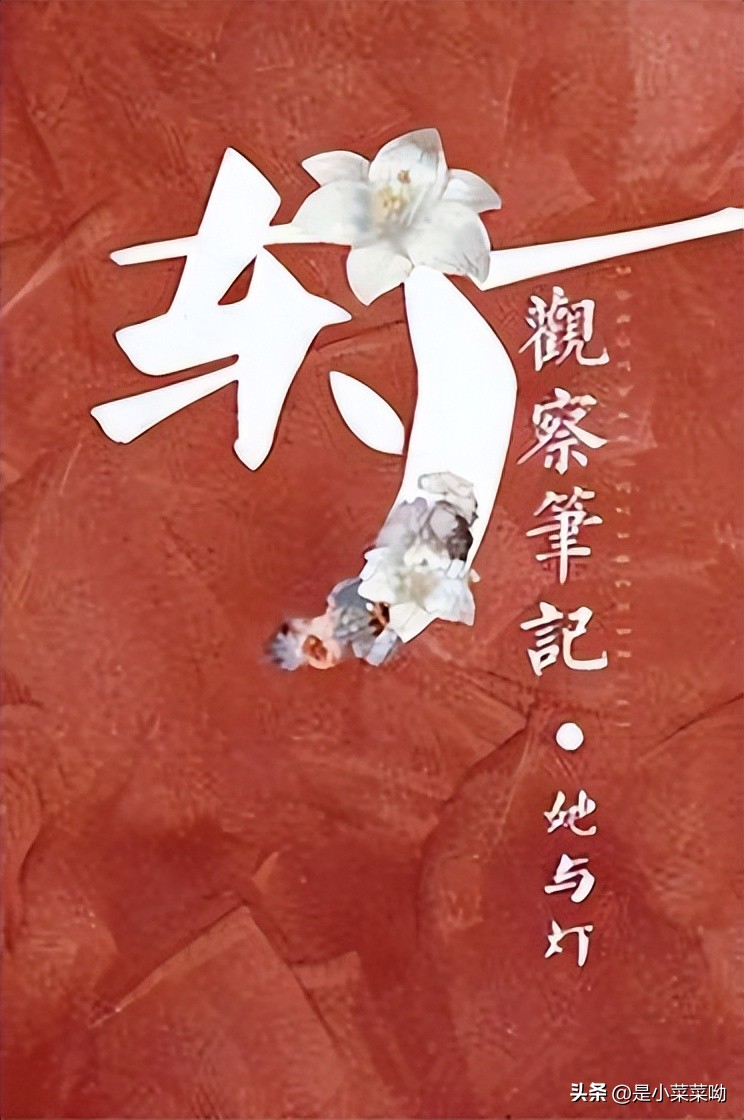 小说推荐穿越重生完结免费阅读,穿越重生小说全本免费阅读完结