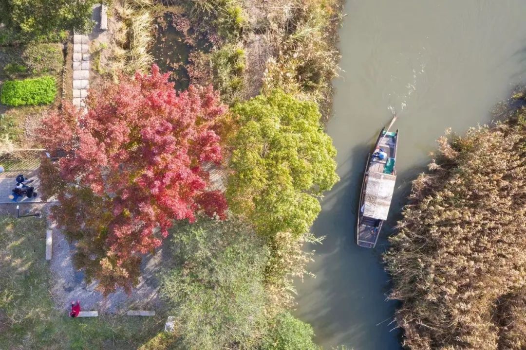 春来夏往，秋收冬藏，带你感受沙家浜的四季，别错过身边的美好