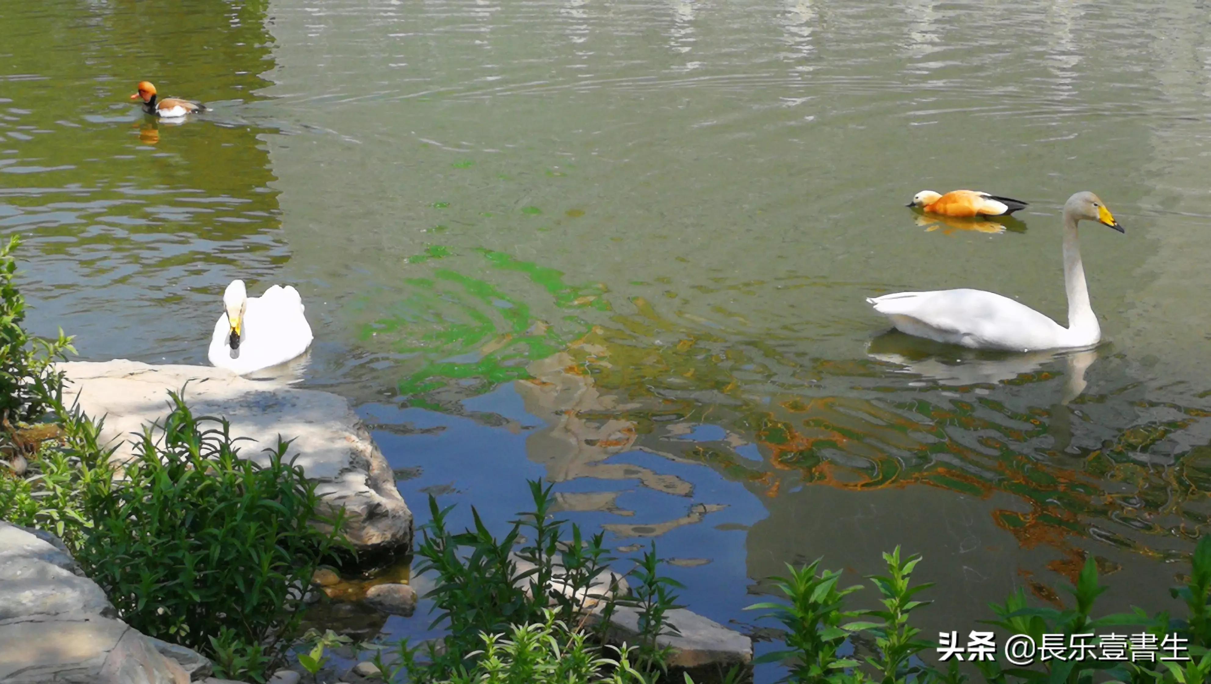 中国园林博物馆游览时间表,小众游玩强烈推荐北京园林博物馆