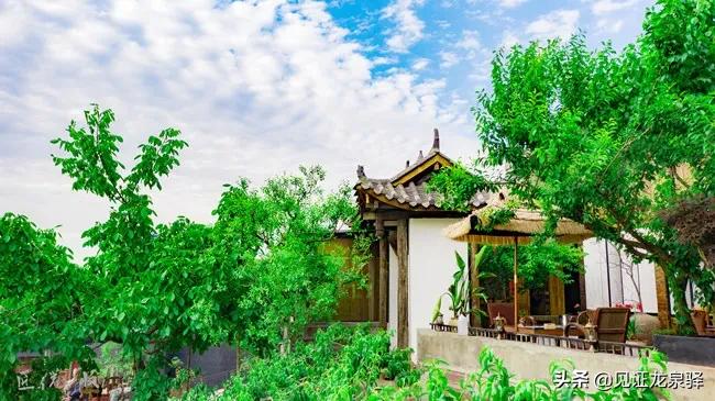 集所有优秀品质于一身,集多种荣誉于一身