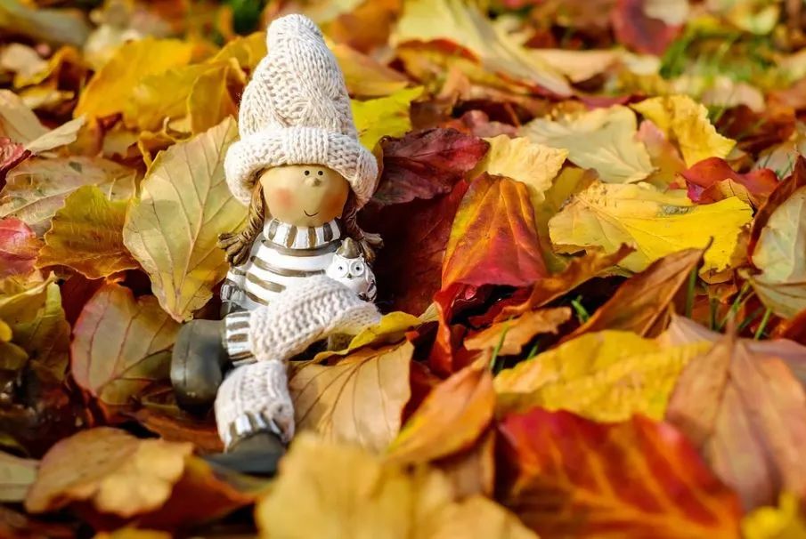 中专读几年毕业,中专毕业能干嘛