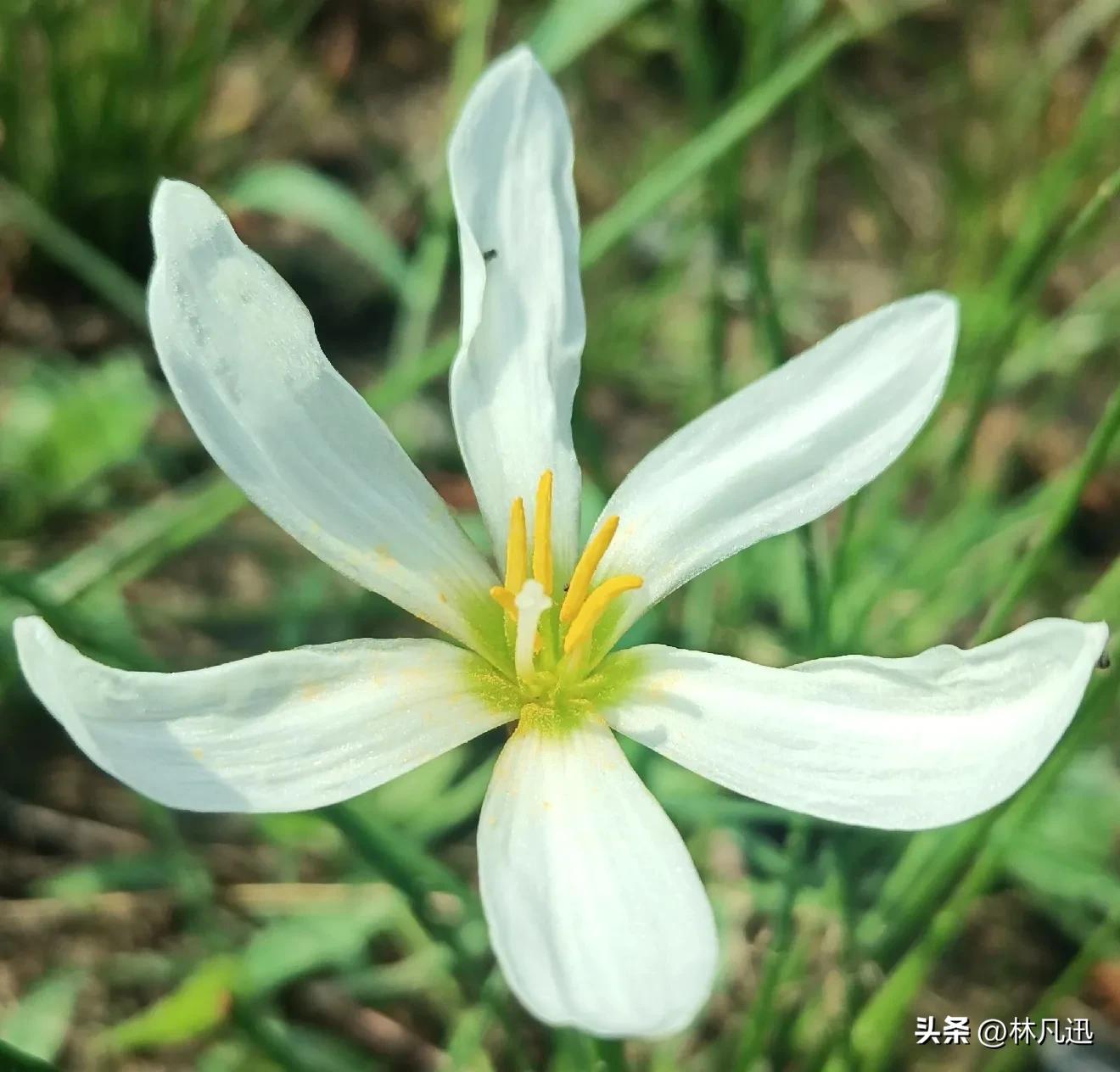 慢慢变富和快速赚钱,稳稳的赚钱慢慢变富