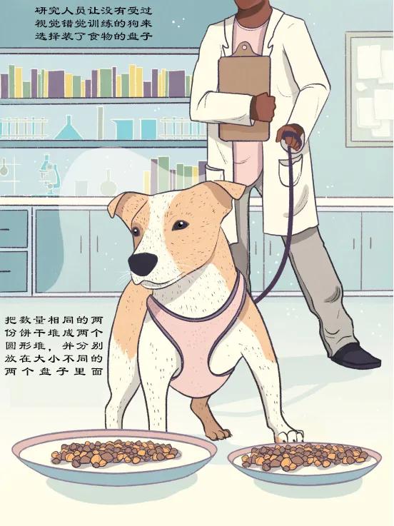 各类视力错觉,十种非常诡异的视错觉