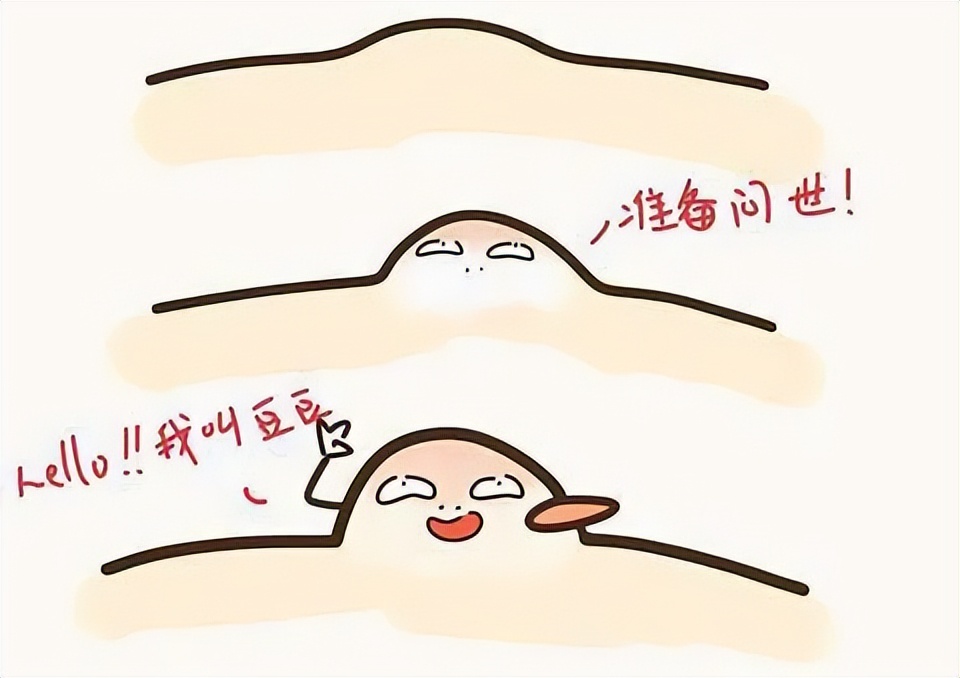 天然奶酪推荐测评,天然奶酪测评推荐