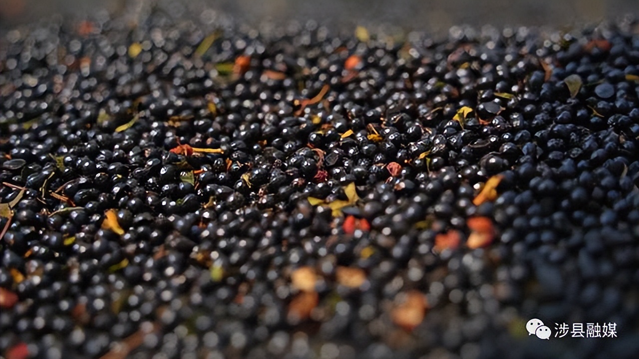 邯郸涉县花椒多少钱一斤,花椒喜获丰收