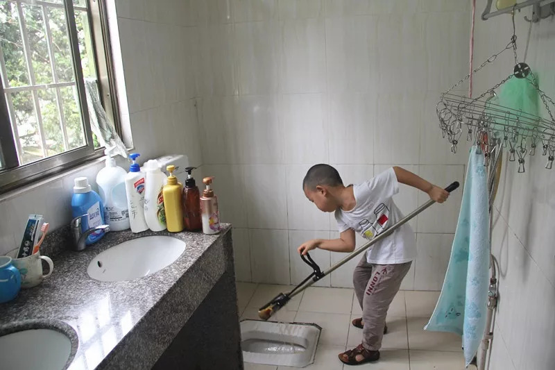 卫生间小飞虫的危害程度超乎你的想象,它究竟是啥?该如何消灭?