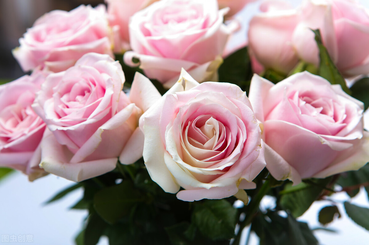 适合发朋友圈的爱情唯美句子,适合发朋友圈的高情商爱情句子