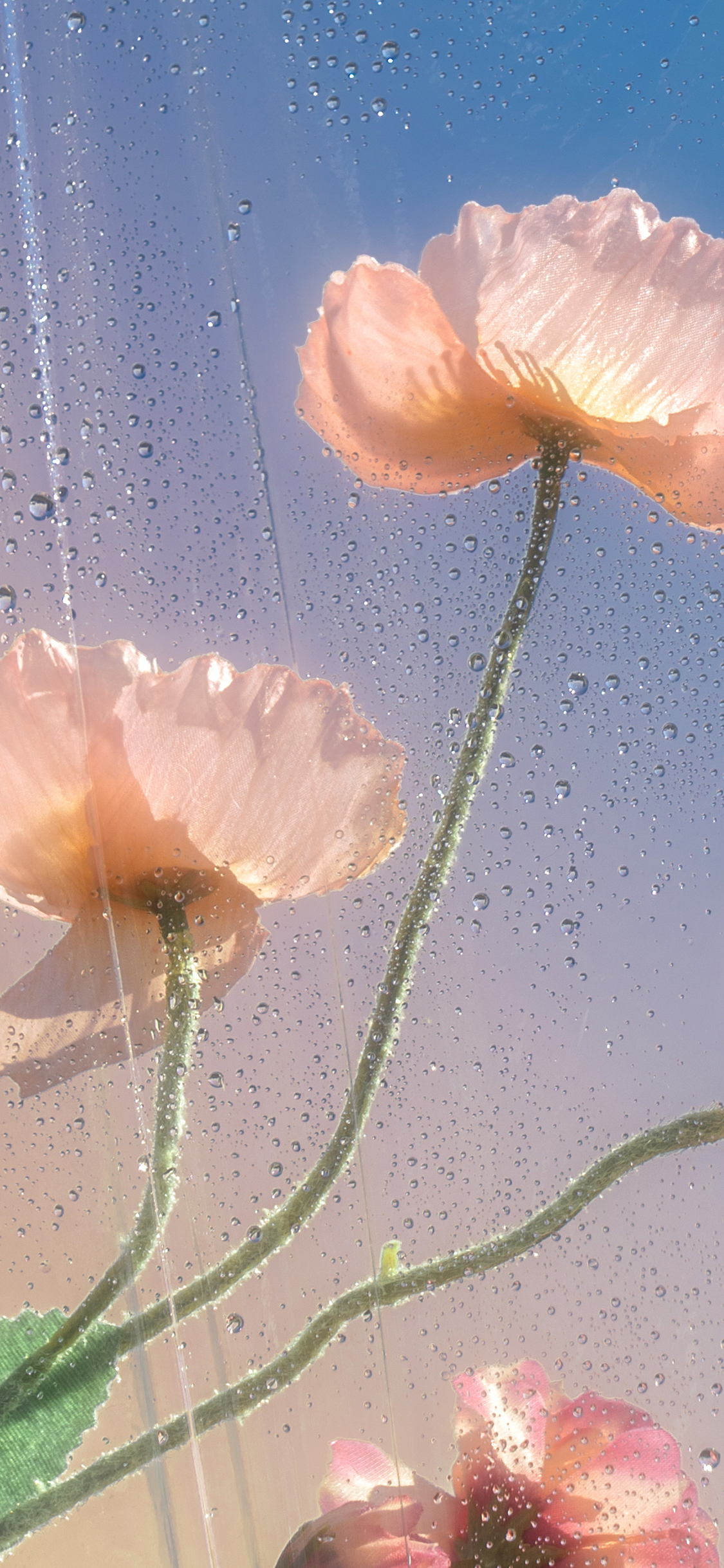 2023年手机壁纸,2023年最新款超清手机壁纸