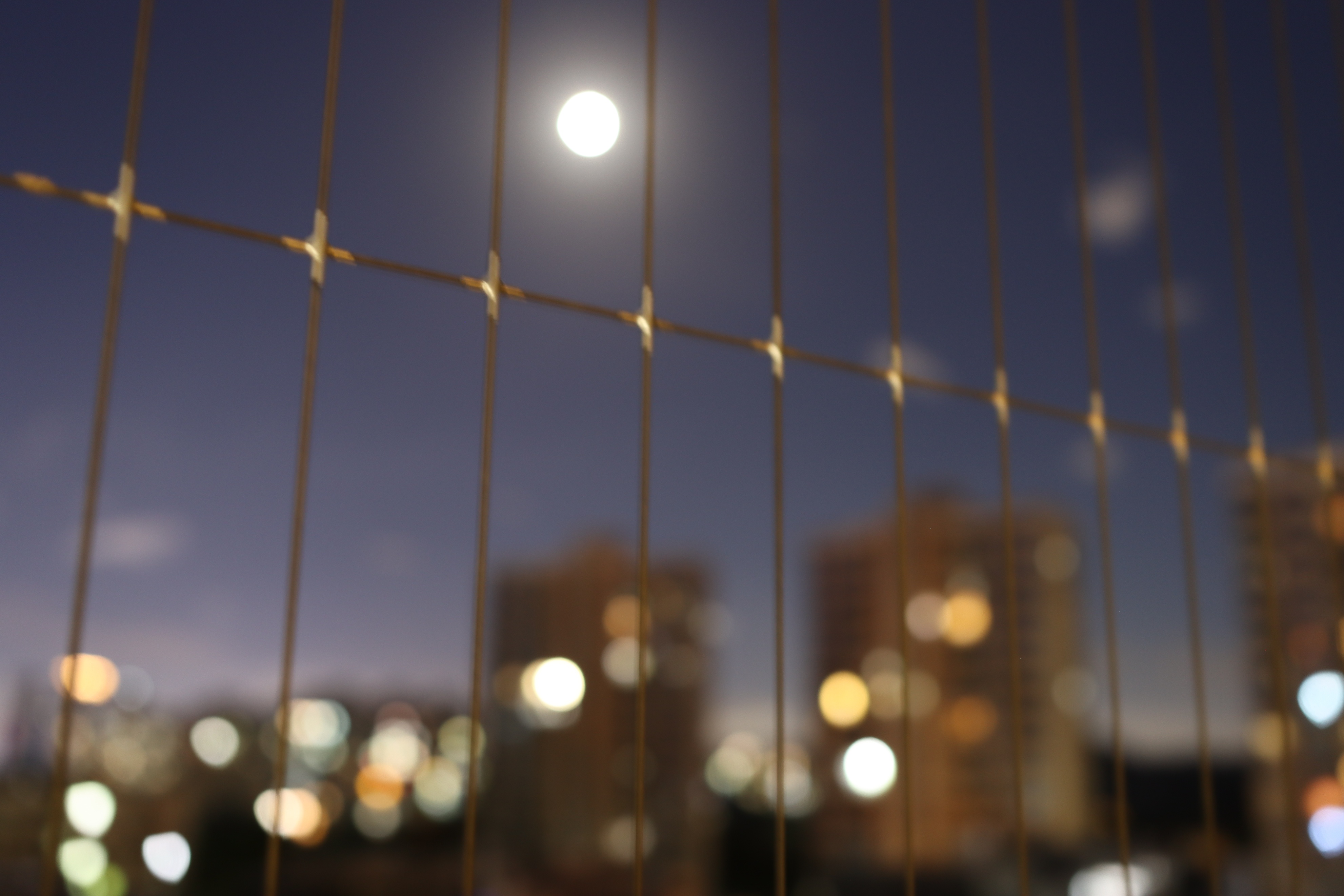 用eos700d拍大片,90d配适马18-35镜头重量