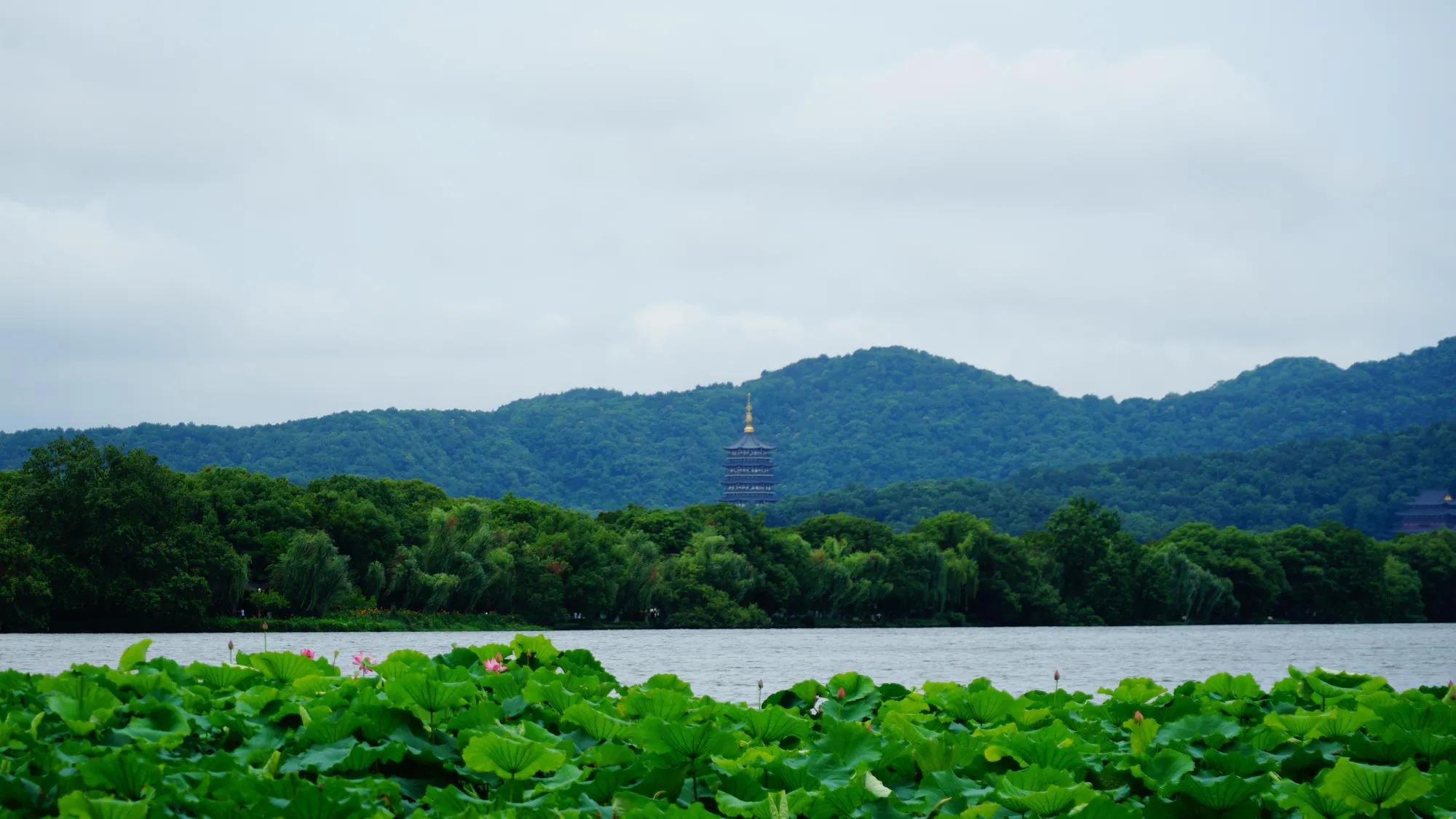 如果有人溺水如何正确自救,如果你遇到溺水正确的自救方法