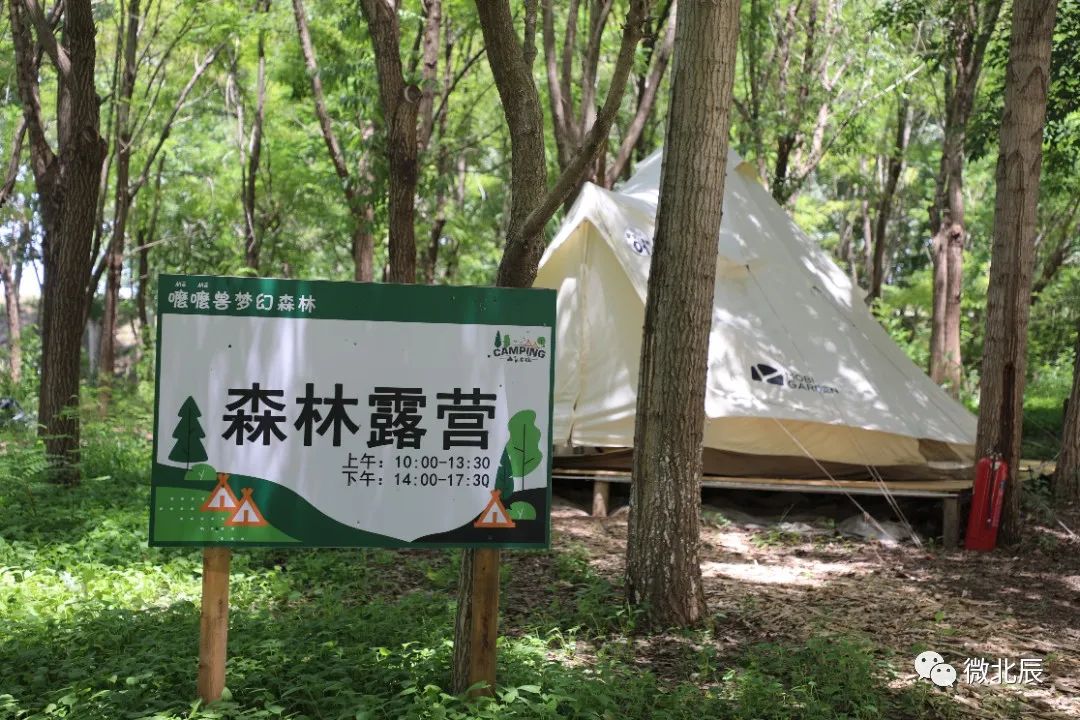 夏日露营不二选！北辰区“嚒嚒兽梦幻森林”清凉来袭~（转发得门票！）