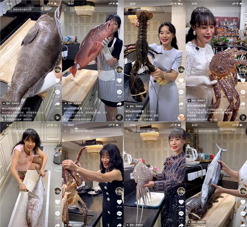 cici888与赌王三太啥关系,cici888是赌王三太的侄女吗