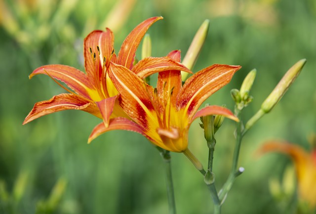 苟日新，日日新，又日新,27。做一个坚持不懈的践行者。