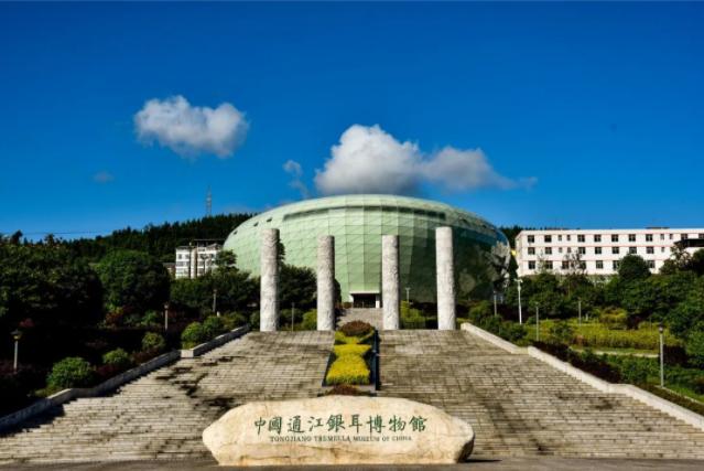 创建天府旅游名县射洪展风采,射洪争创天府旅游名县